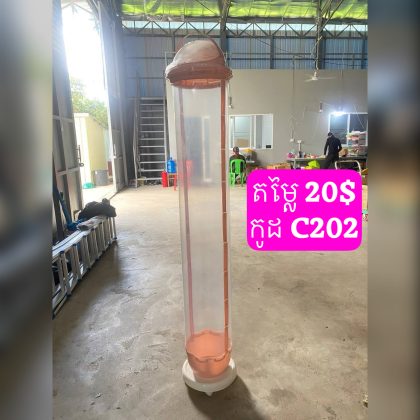 C202