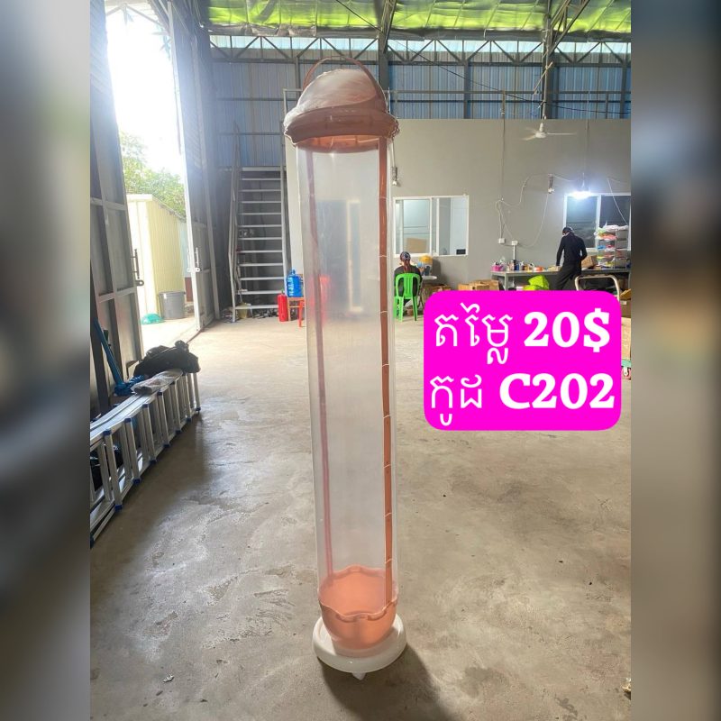 C202