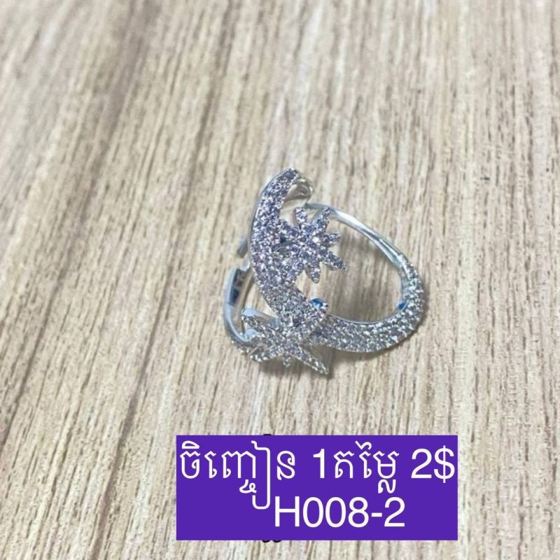 H008